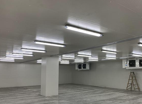 建造安裝一個(gè)低溫食品庫(kù)需要多少成本