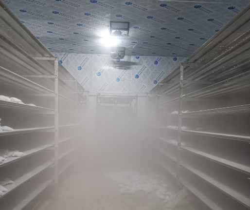 建一個(gè)冷凍庫需要多少錢一平方