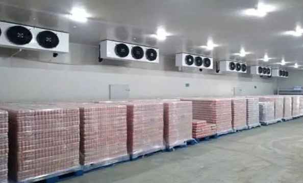 建一個2萬斤蔬菜冷庫要多少錢
