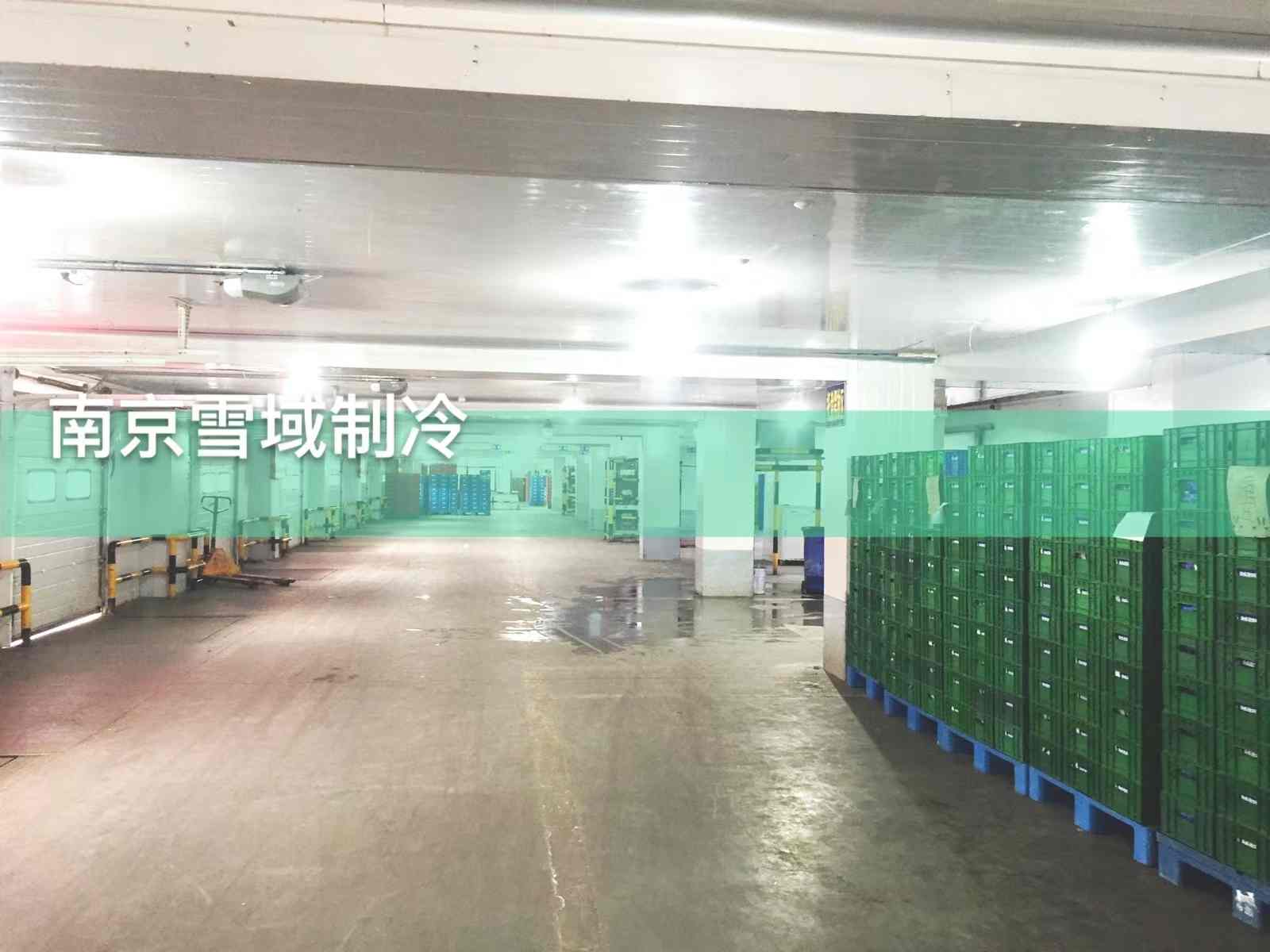 南京大型速凍乳品冷庫(kù)案例